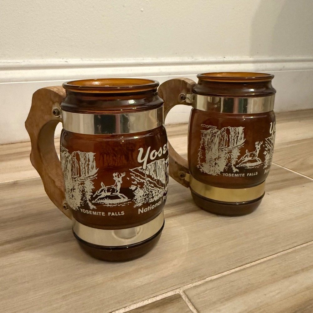 Vintage Siesta Ware Yosemite National Park CA Brown Glass Mugs Set of 2